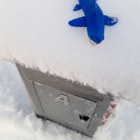 Hajen ligger på en brevlåda.