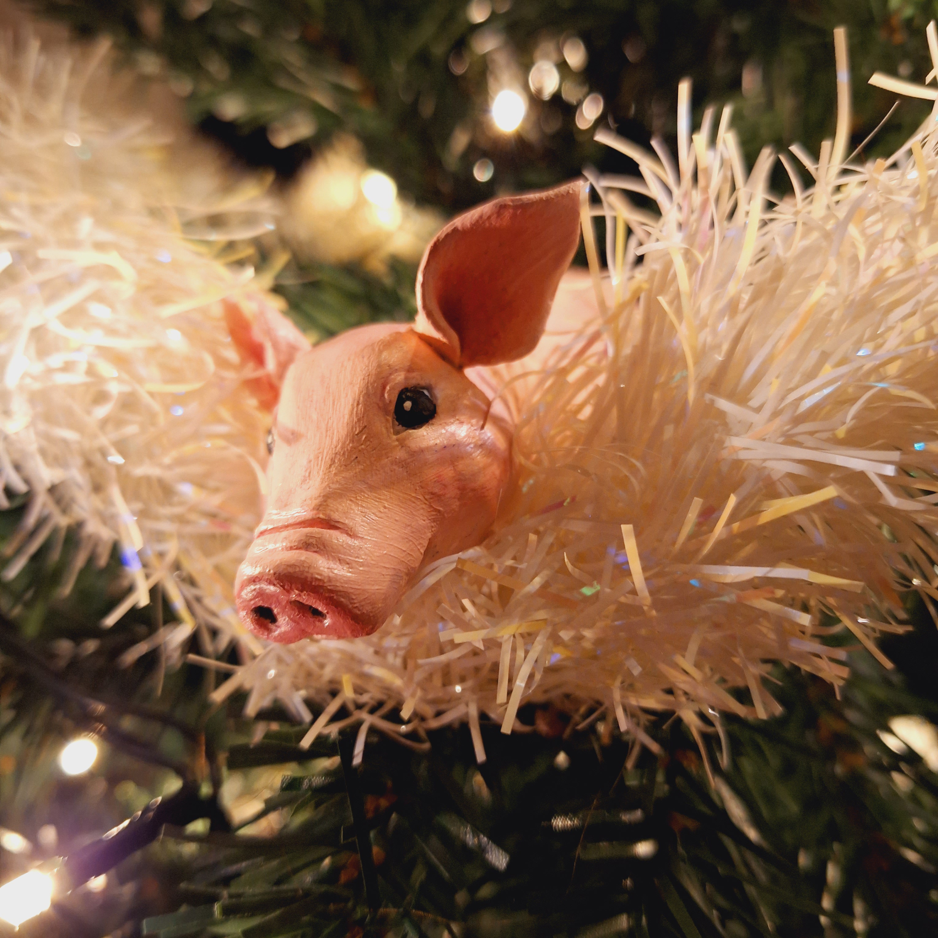 Grisen i en julgran.