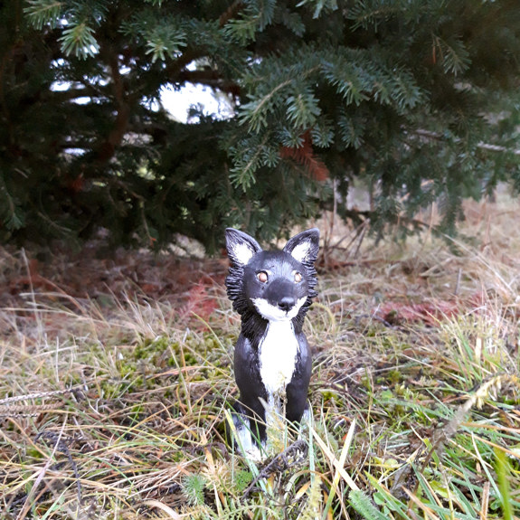 Hunden sitter under en gran.