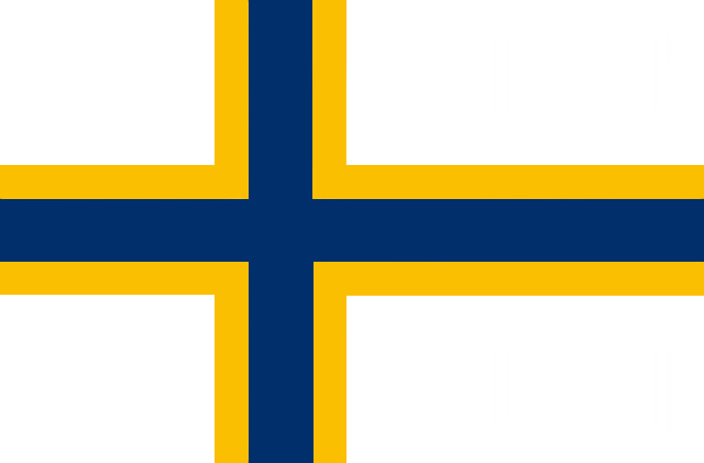 Den Sverigefinska flaggan.