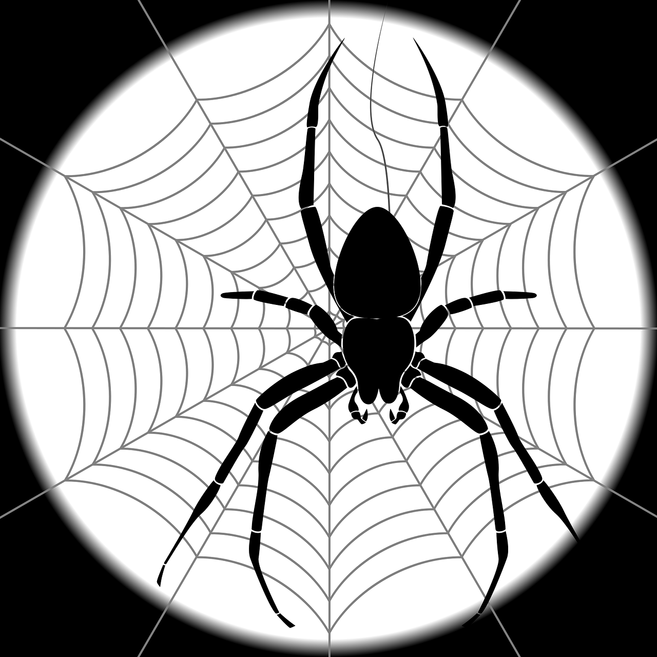 Spindel
