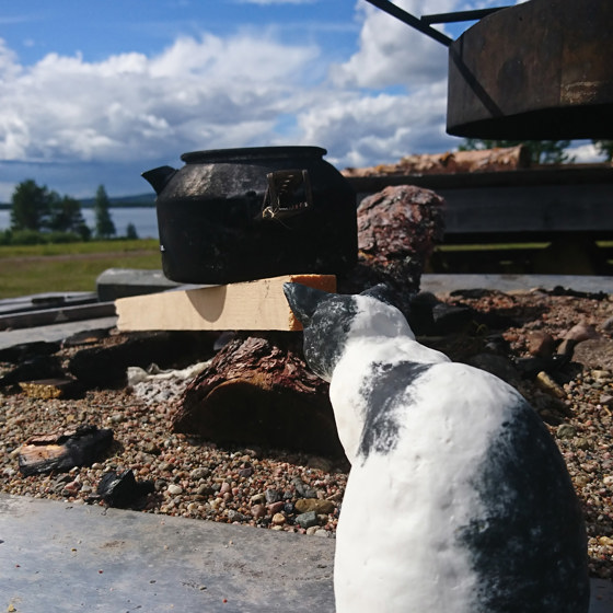 Katten sitter vid en eldstad med en kaffepanna.