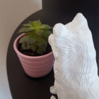 Fjällräven tittar på en liten krukväxt.