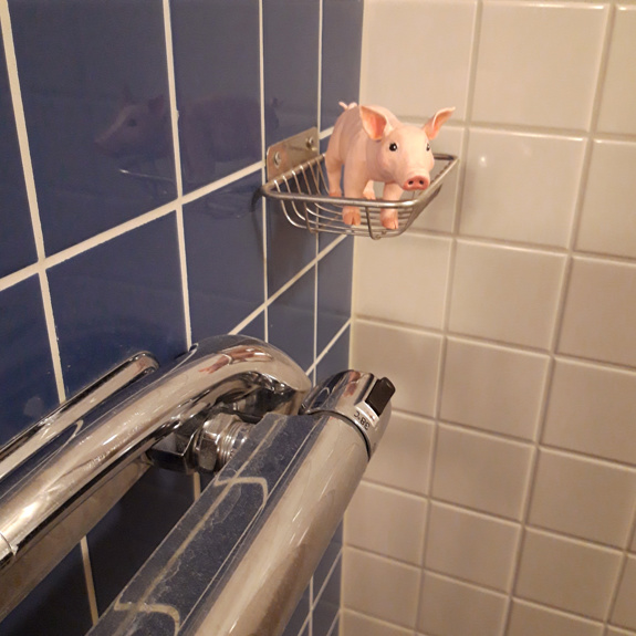 Grisen är i duschen.