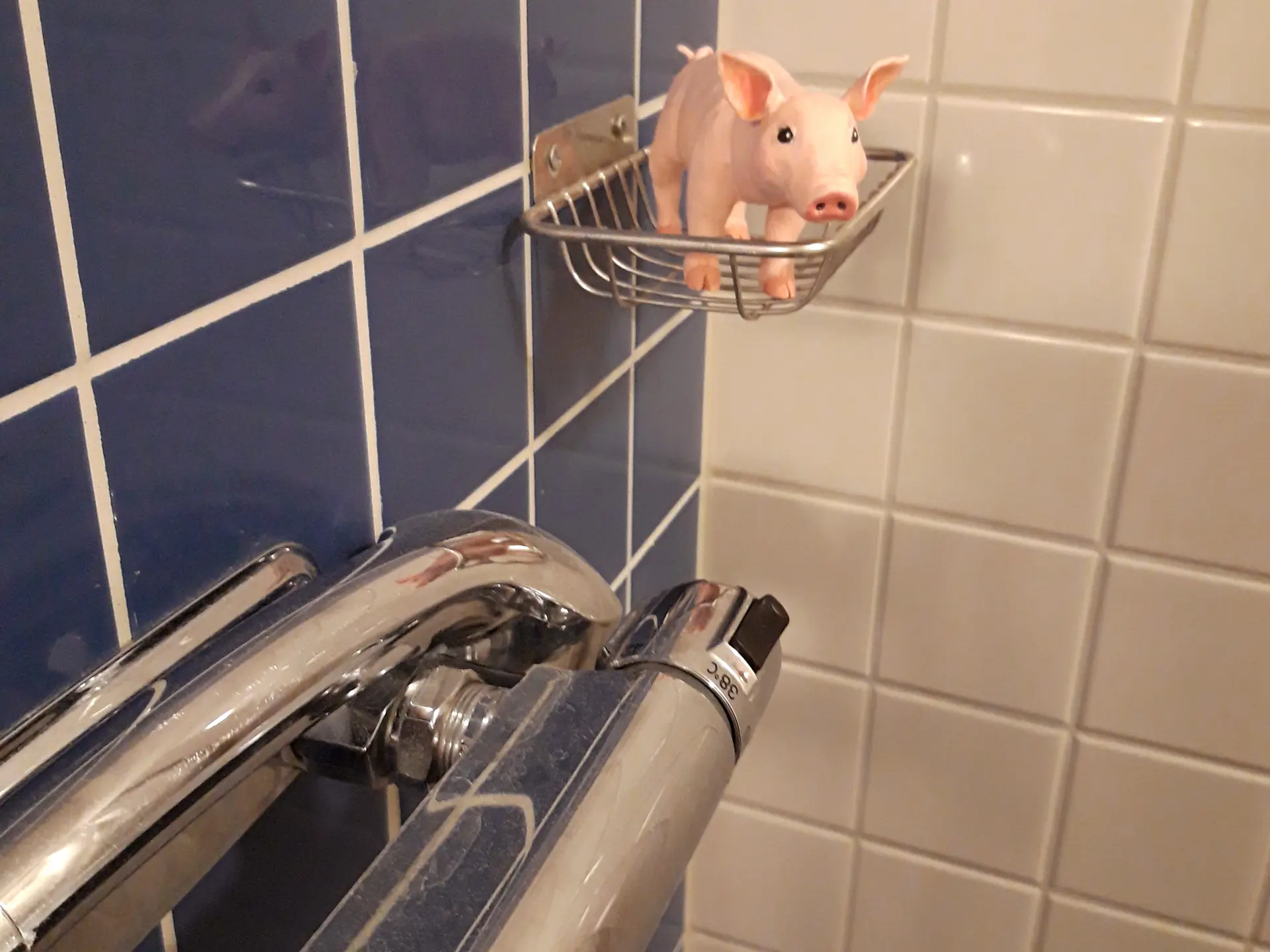 Grisen är i duschen.