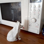 Fjällräven framför en mikro.